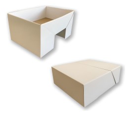 CAJA SORPRESA 34*27*7 100UNDS