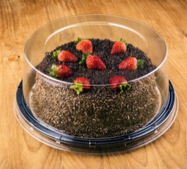 TORTERA GRANDE LISA HL-60 30x10CM 50UND