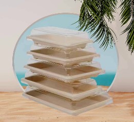 BANDEJA SUSHI BIO T. TRANSP 22X14 200UN