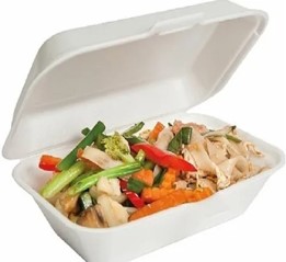 CAJA TERMICA LONCHE CT4 MULTIPLAST 1X200